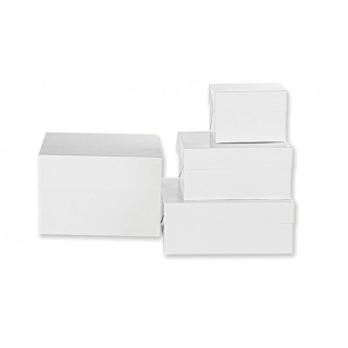 BOX PER DOLCI mis. 50,5 x 50,5 x 23,5 cm h - 1 pz - DECORA