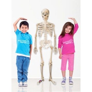 Palloncino scheletro in piedi  (Halloween) - AirWalkers - Anagram - 190 cm x 43 cm H - 1 pz