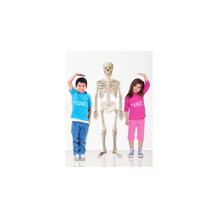 Palloncino scheletro in piedi  (Halloween) - AirWalkers - Anagram - 190 cm x 43 cm H - 1 pz