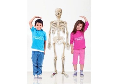 Palloncino scheletro in piedi  (Halloween) - AirWalkers - Anagram - 190 cm x 43 cm H - 1 pz