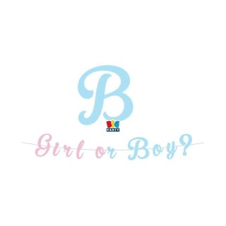 FESTONE IN CARTA  Boy ? o Girl ?  con stampa  maschio celeste  e femmina rosa  in cartoncino 3 Metri per 15  cm H  1 pz