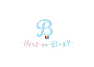 FESTONE IN CARTA  Boy ? o Girl ?  con stampa  maschio celeste  e femmina rosa  in cartoncino 3 Metri per 15  cm H  1 pz
