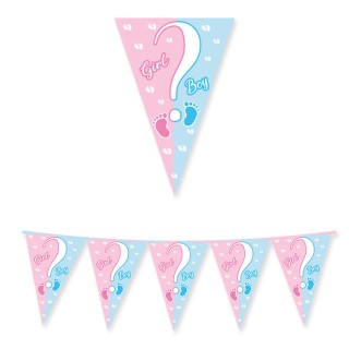 FESTONE IN CARTA  Boy ? o Girl ?  con stampa  maschio celeste  e femmina rosa  in cartoncino 3 Metri per 30 cm H  1 pz