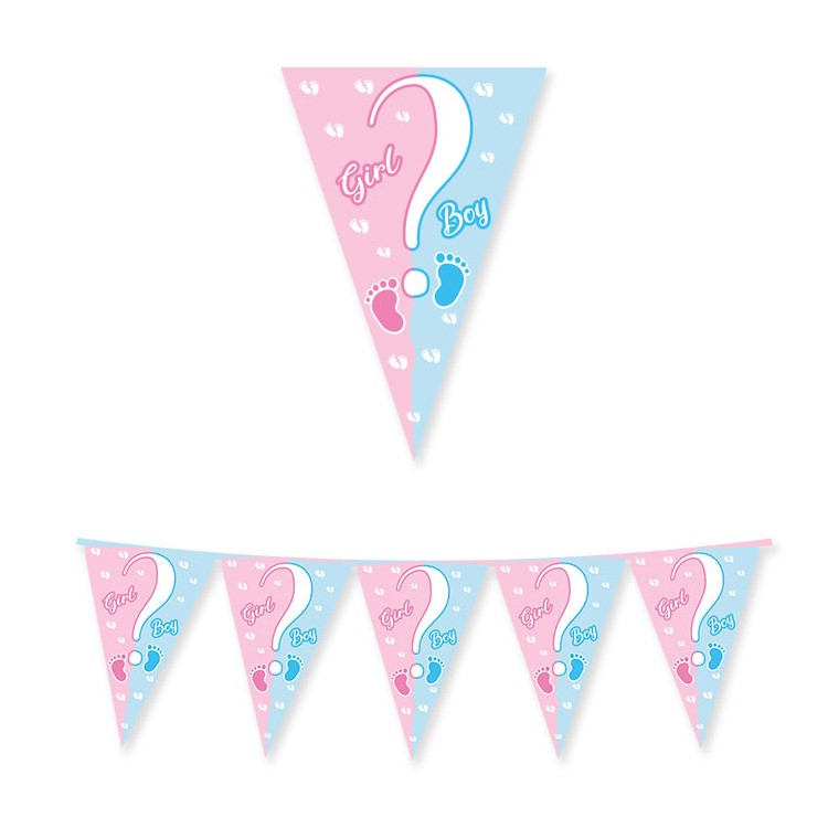 FESTONE IN CARTA  Boy ? o Girl ?  con stampa  maschio celeste  e femmina rosa  in cartoncino 3 Metri per 30 cm H  1 pz