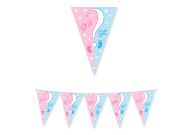 FESTONE IN CARTA  Boy ? o Girl ?  con stampa  maschio celeste  e femmina rosa  in cartoncino 3 Metri per 30 cm H  1 pz